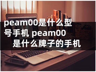 peam00是什么型号手机 peam00是什么牌子的手机