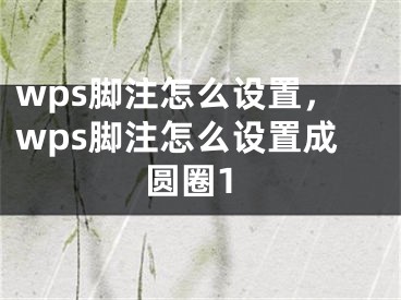 wps脚注怎么设置，wps脚注怎么设置成圆圈1