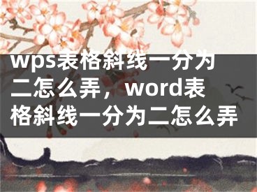 wps表格斜线一分为二怎么弄，word表格斜线一分为二怎么弄