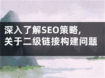 深入了解SEO策略,关于二级链接构建问题