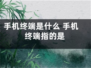 手机终端是什么 手机终端指的是