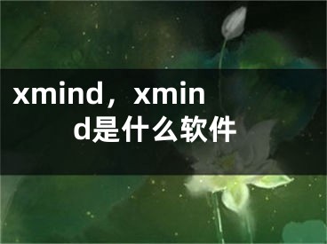 xmind，xmind是什么软件
