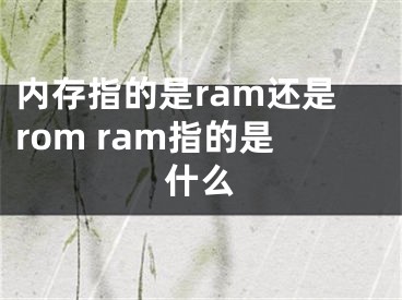 内存指的是ram还是rom ram指的是什么