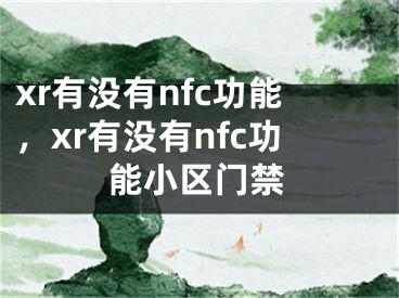 xr有没有nfc功能，xr有没有nfc功能小区门禁