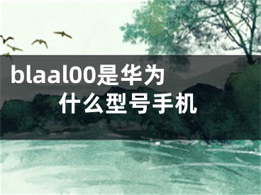 blaal00是华为什么型号手机