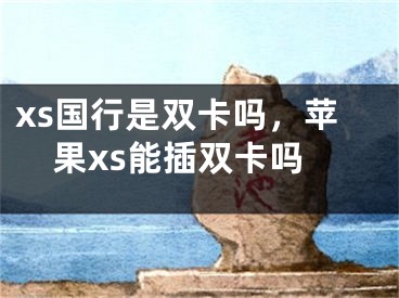 xs国行是双卡吗，苹果xs能插双卡吗