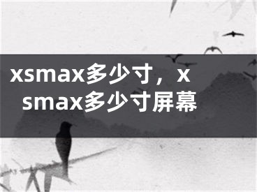 xsmax多少寸，xsmax多少寸屏幕