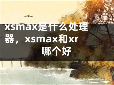 xsmax是什么处理器，xsmax和xr哪个好