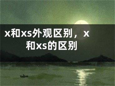 x和xs外观区别，x和xs的区别