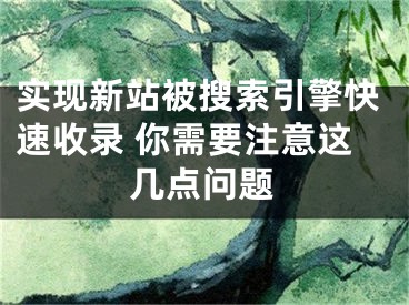 实现新站被搜索引擎快速收录 你需要注意这几点问题 