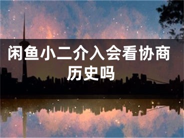 闲鱼小二介入会看协商历史吗