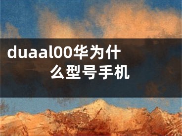 duaal00华为什么型号手机