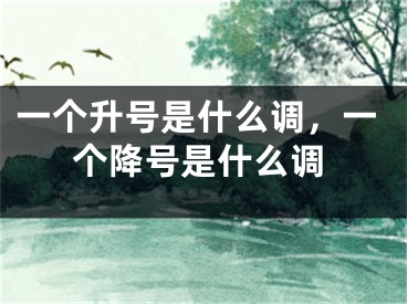 一个升号是什么调，一个降号是什么调