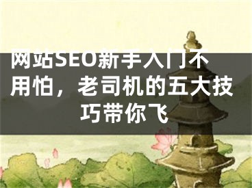 网站SEO新手入门不用怕，老司机的五大技巧带你飞 