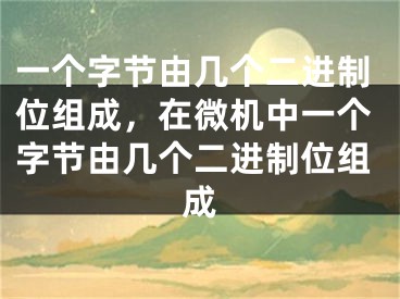 一个字节由几个二进制位组成，在微机中一个字节由几个二进制位组成