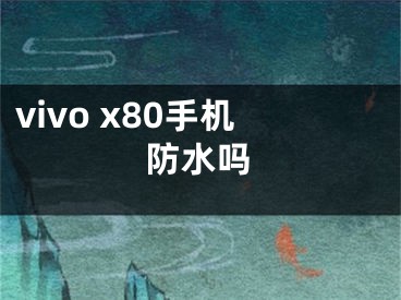 vivo x80手机防水吗