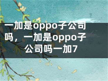 一加是oppo子公司吗，一加是oppo子公司吗一加7