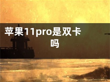 苹果11pro是双卡吗