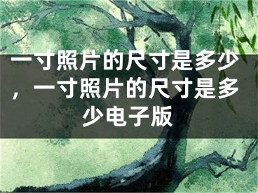 一寸照片的尺寸是多少，一寸照片的尺寸是多少电子版