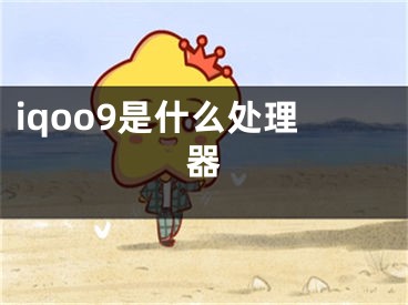 iqoo9是什么处理器