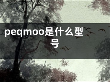 peqmoo是什么型号