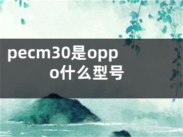pecm30是oppo什么型号
