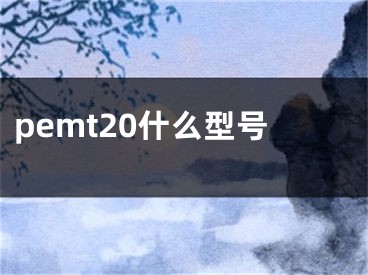 pemt20什么型号