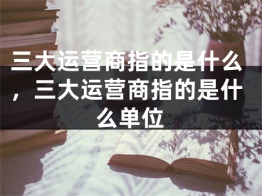 三大运营商指的是什么，三大运营商指的是什么单位