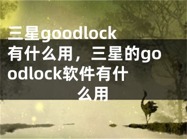 三星goodlock有什么用，三星的goodlock软件有什么用