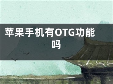 苹果手机有OTG功能吗