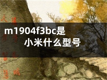 m1904f3bc是小米什么型号