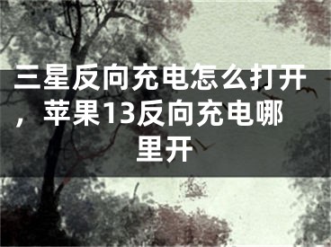 三星反向充电怎么打开，苹果13反向充电哪里开