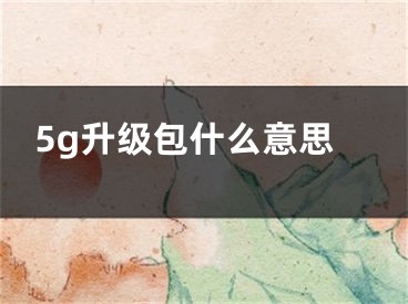 5g升级包什么意思