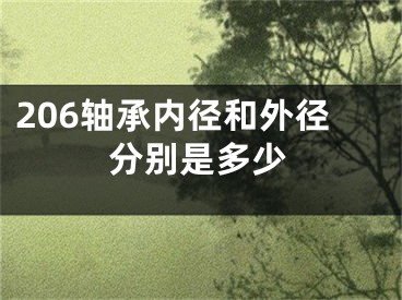 206轴承内径和外径分别是多少