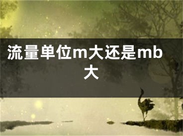 流量单位m大还是mb大