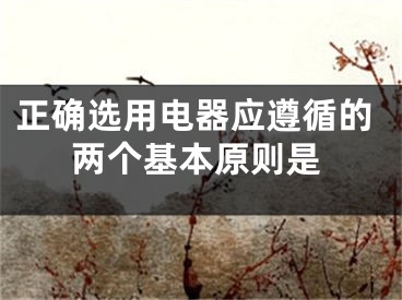 正确选用电器应遵循的两个基本原则是