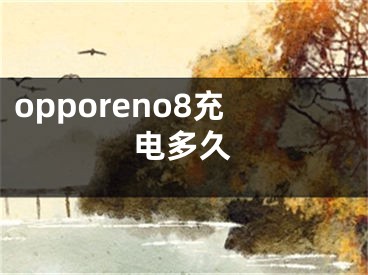 opporeno8充电多久