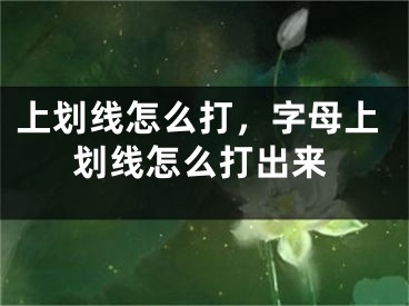 上划线怎么打，字母上划线怎么打出来