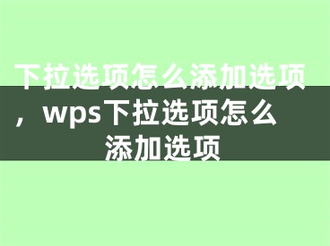 下拉选项怎么添加选项，wps下拉选项怎么添加选项