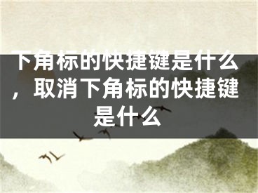 下角标的快捷键是什么，取消下角标的快捷键是什么