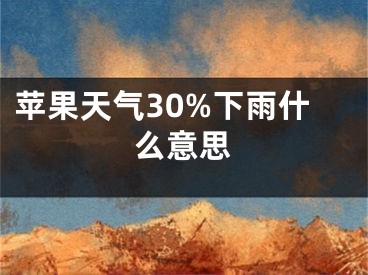 苹果天气30%下雨什么意思