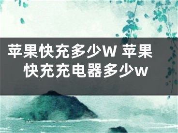 苹果快充多少W 苹果快充充电器多少w