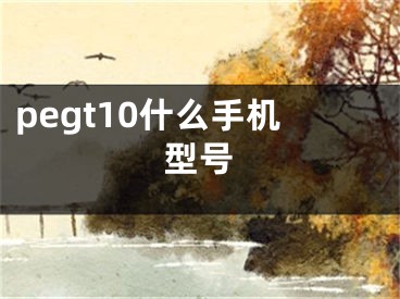 pegt10什么手机型号