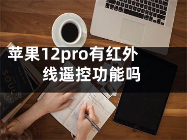 苹果12pro有红外线遥控功能吗