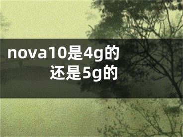 nova10是4g的还是5g的