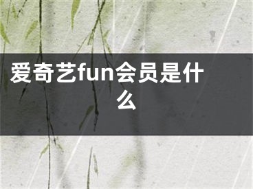 爱奇艺fun会员是什么