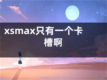 xsmax只有一个卡槽啊