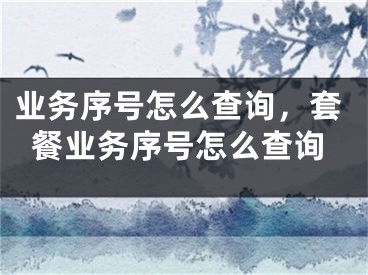 业务序号怎么查询，套餐业务序号怎么查询