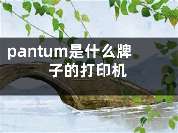 pantum是什么牌子的打印机