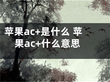 苹果ac+是什么 苹果ac+什么意思